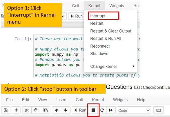 Run Jupyter notebooks - interrupt kernels