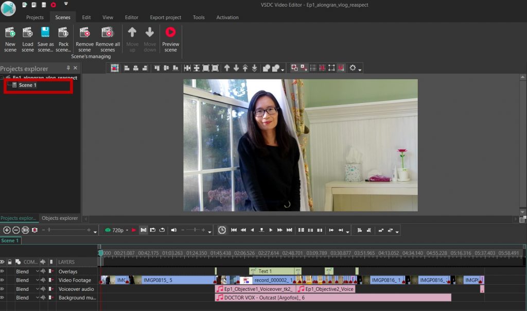 Image of my video editing software window, showing the pane with the screen objects, for my first vlog.